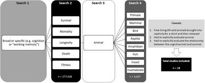 Challenges in Linking Cognition and Survival: A Review